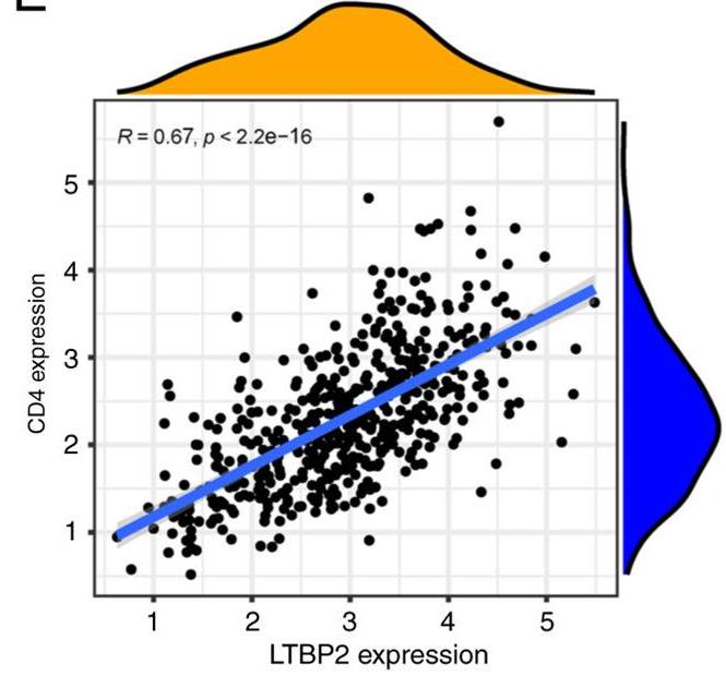 LTBP2-1.jpg