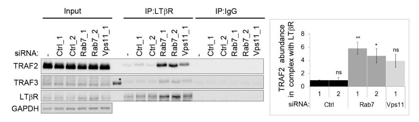 LTBR-6.jpg