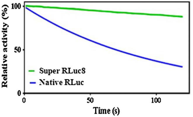 Luciferase-01R-2.jpg