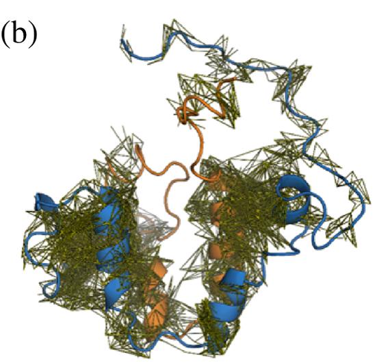 Luciferase-105G-1.jpg