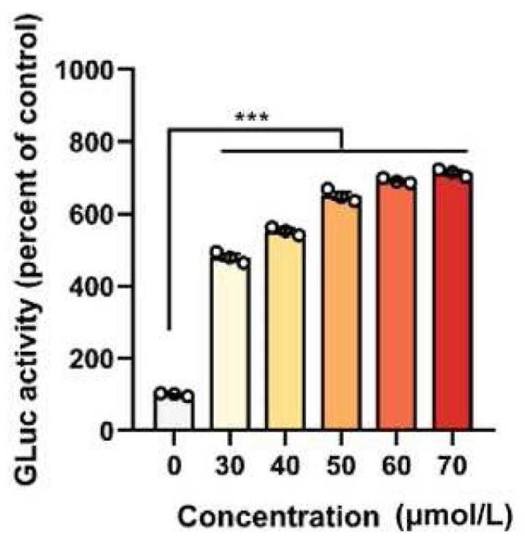 Luciferase-105G-3.jpg