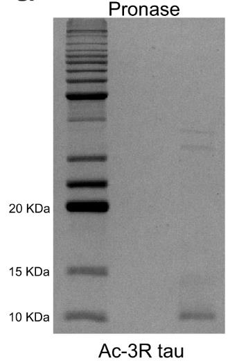 MAPT-4.jpg