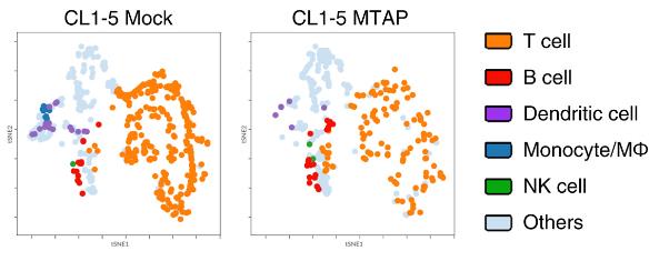MTAP-2.jpg