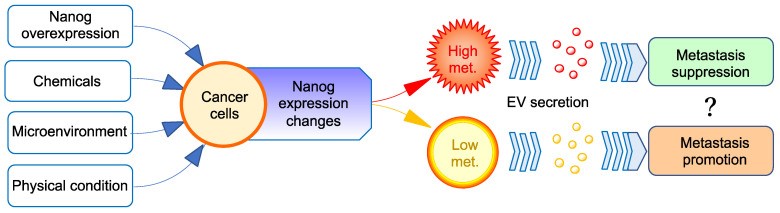 NANOG-9.jpg