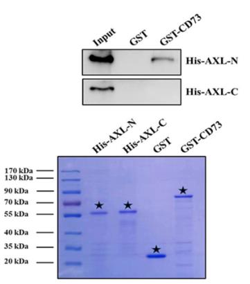NT5E-8848C-4.jpg