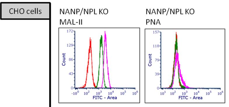 Nanp-1813M-1.jpg
