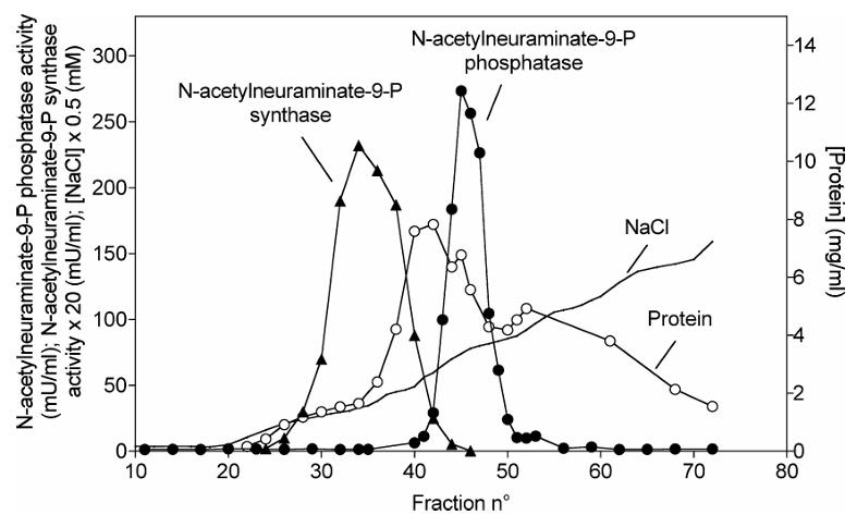 Nanp-1813M-3.jpg