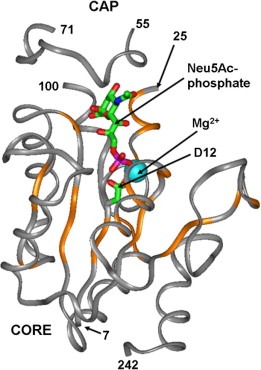 Nanp-4287M-4.jpg