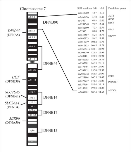 OCM-5.jpg