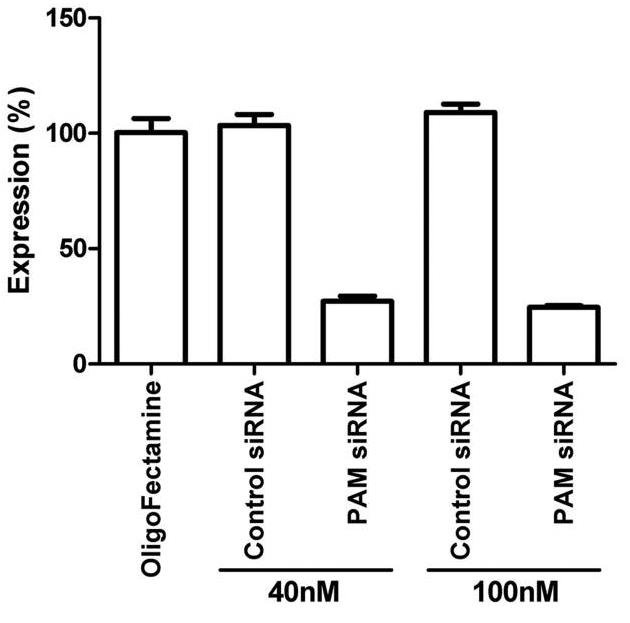 PAM-4.jpg
