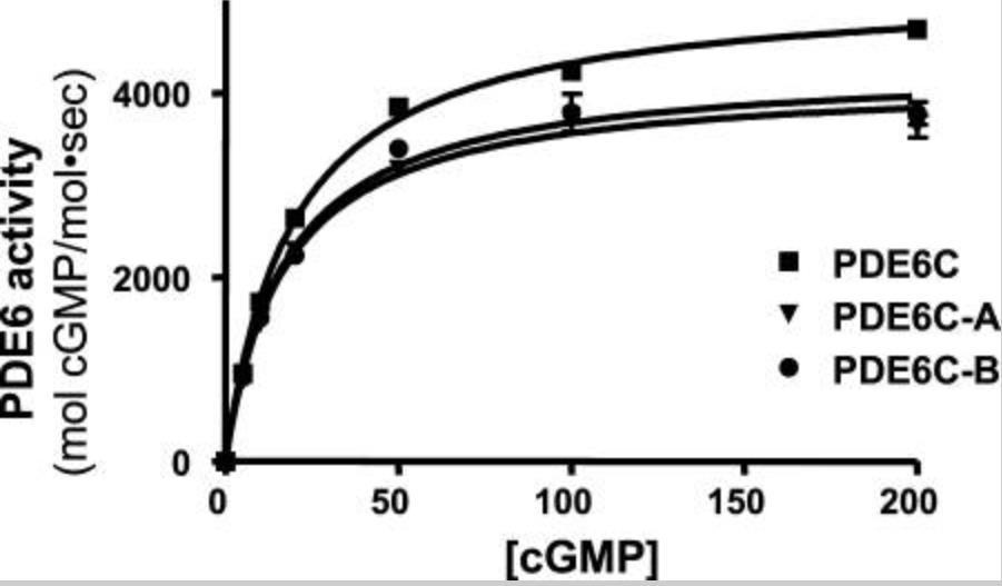 PDE6C-4.jpg