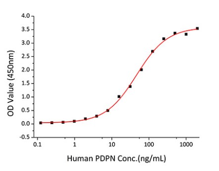 PDPN-2.jpg