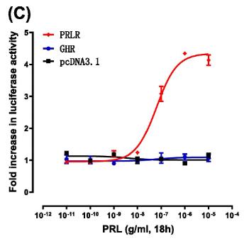 PRLR-3.jpg