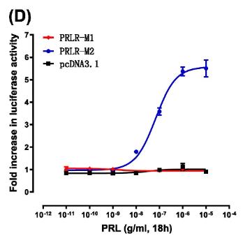 PRLR-4.jpg