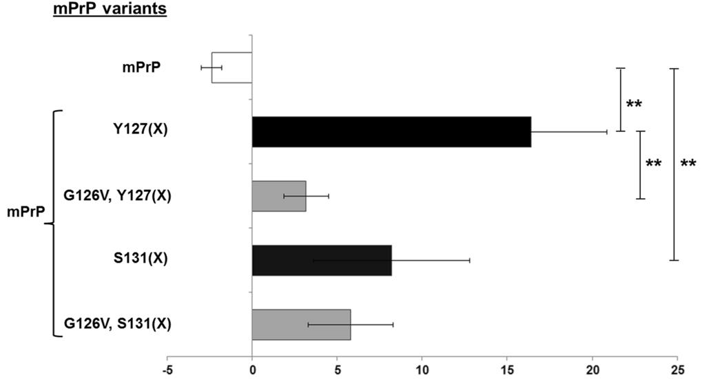 PRNP-1.jpg