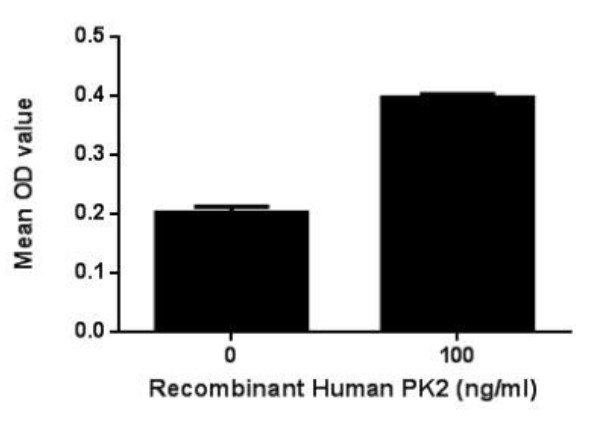 PROK2-2.jpg