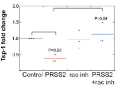 PRSS2-4.jpg