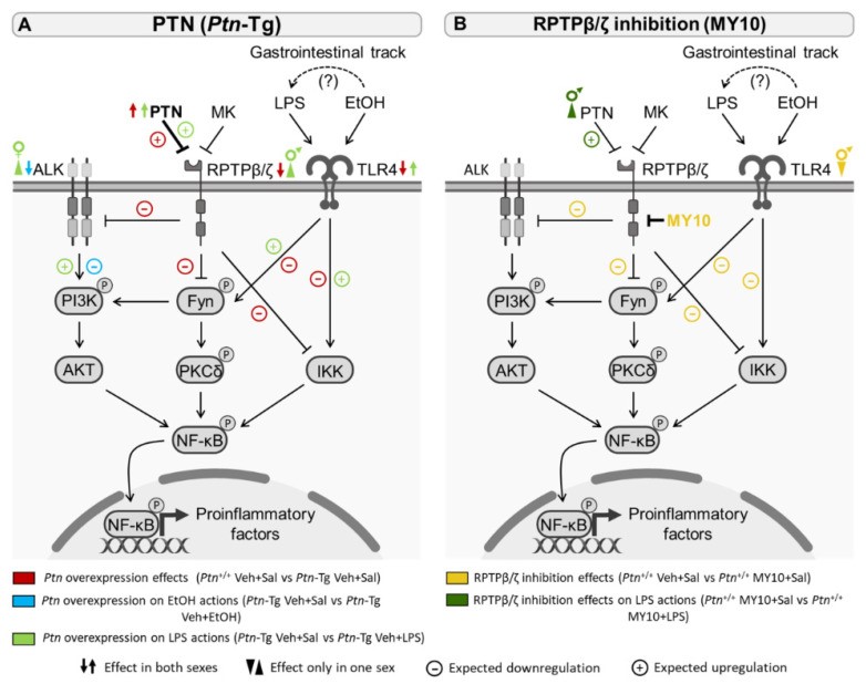 PTN-8.jpg