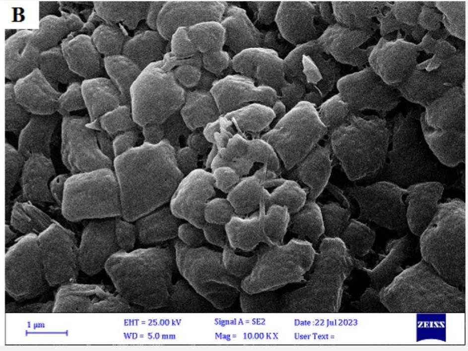 Protease-92-1.jpg