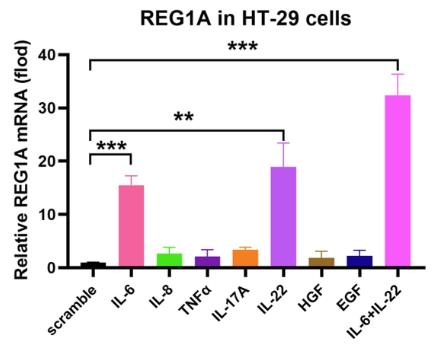 REG1A-89C-2.jpg