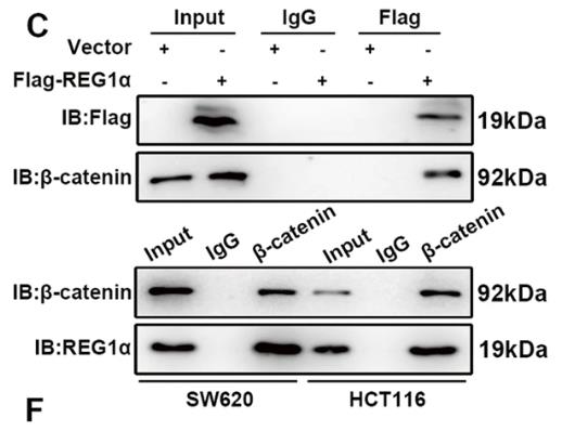 REG1A-89C-3.jpg