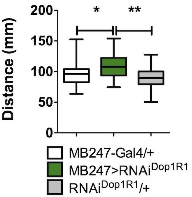 RFL3288DF-2.jpg
