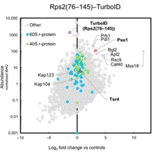 RPS2-2.jpg