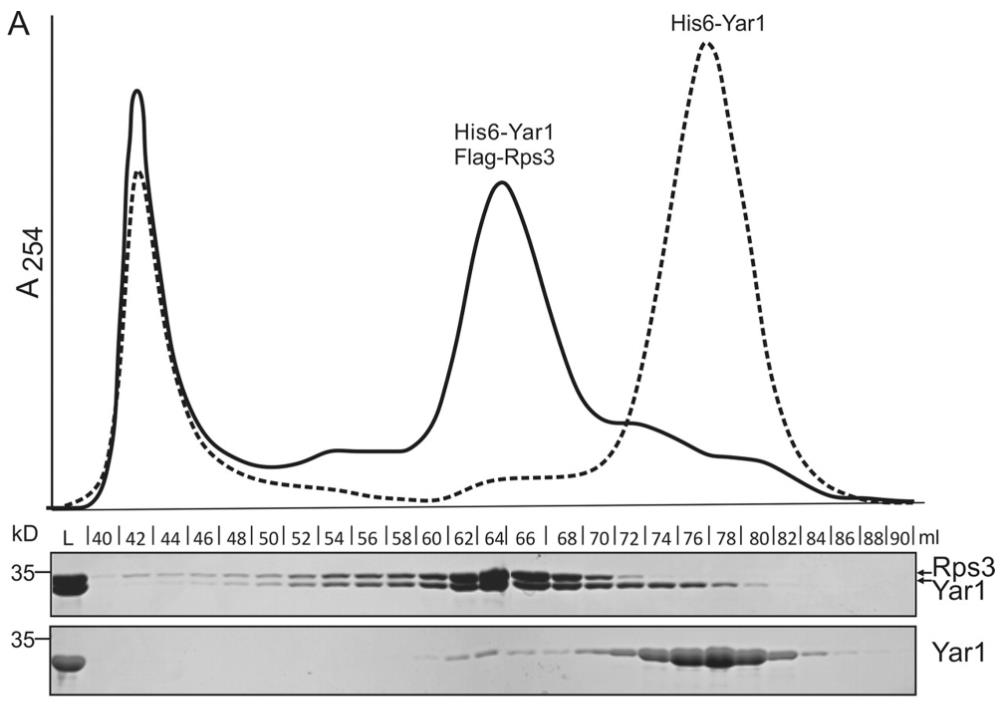 RPS3-4025R-3.jpg