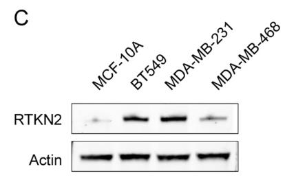 RTKN-1.jpg