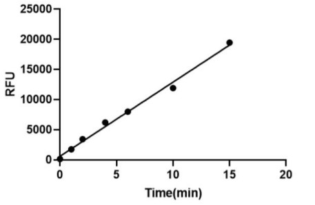 SIRT1-2.jpg