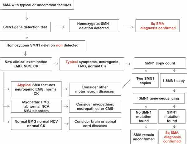 SMN1-1660HCL-4.jpg
