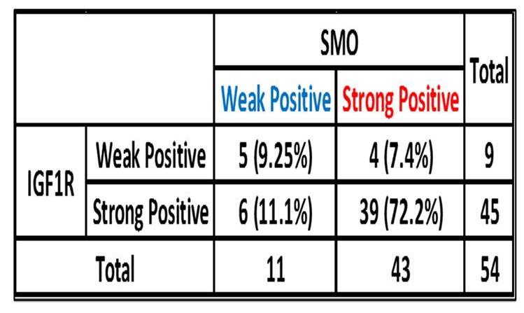 SMO-3.jpg
