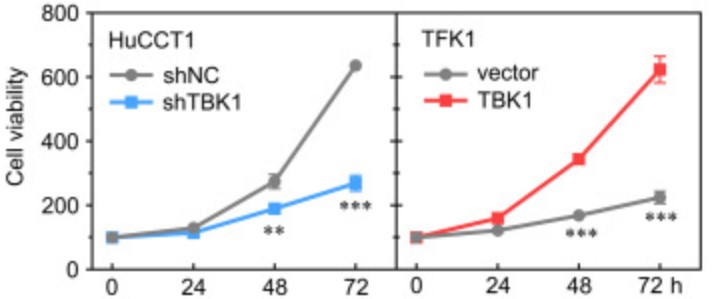 TBK1-6.jpg