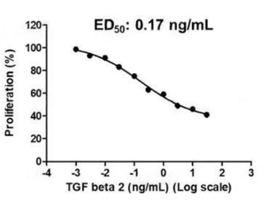 TGFB2-2.jpg