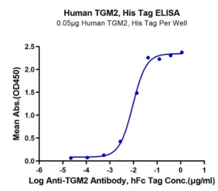 TGM2