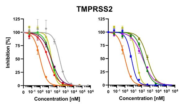 TMPRSS2-1856H-5.jpg