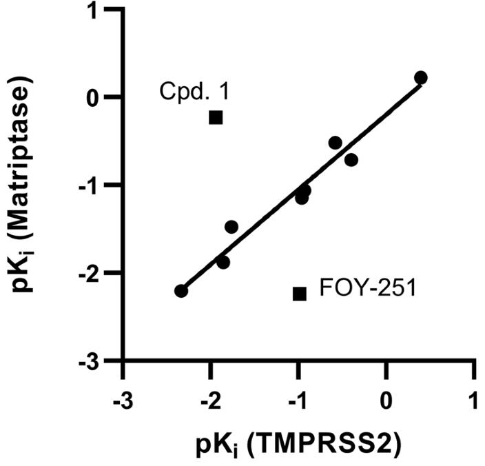 TMPRSS2-1856H-6.jpg