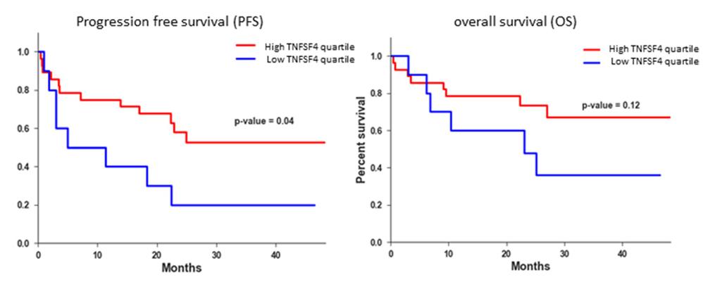 TNFSF4-2.jpg