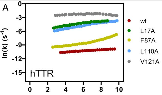 TTR-4.jpg