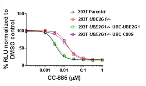 UBE-3.jpg