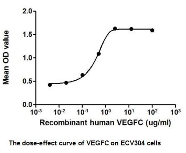 VEGFC-2.jpg