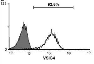 VSIG4-5.jpg