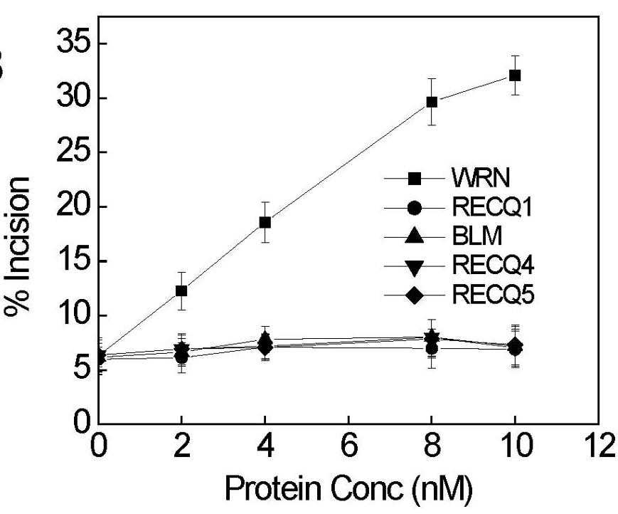 WRN-30699TH-3.jpg