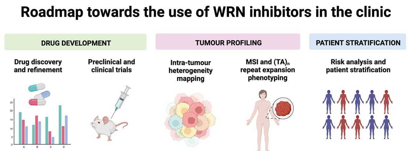 WRN-7.jpg