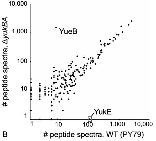 YUKE-4021B-4.jpg