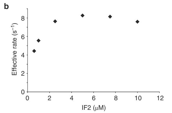 infB-112H-4.jpg