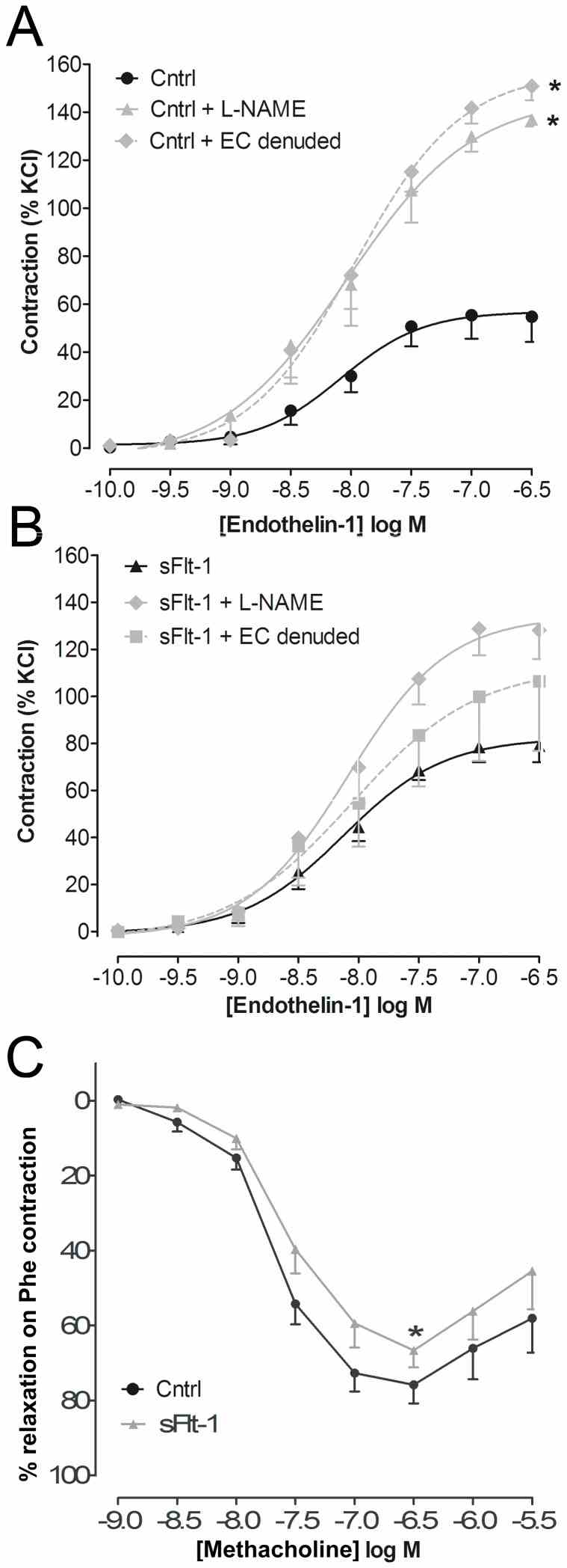 A) Effect of eNOS inhibition with L-NAME (N = 5) and endothelium (EC) denudation (N = 4) on ET-1 concentration-response curves in carotid segments of vehicle-treated mice (Cntrl). Data are expressed as mean±SEM, *(maximal efficacy of Cntrl vs. Cntrl + L-NAME and Cntrl vs. Cntrl + EC denuded, N = 9–5, p <0.05). B ) Effect of L-NAME (N = 4) and EC denudation (N = 3) on ET-1 concentration-response curves in carotid segments of sFlt-1-treated mice. C ) Metacholine concentration-response curve generated after pre-constriction with the α1-adrenergic receptor agonist phenylephrine. Data are expressed as mean±SEM,*(maximal relaxation sFlt-1 vs. Cntrl, N = 13–14, p <0.05).