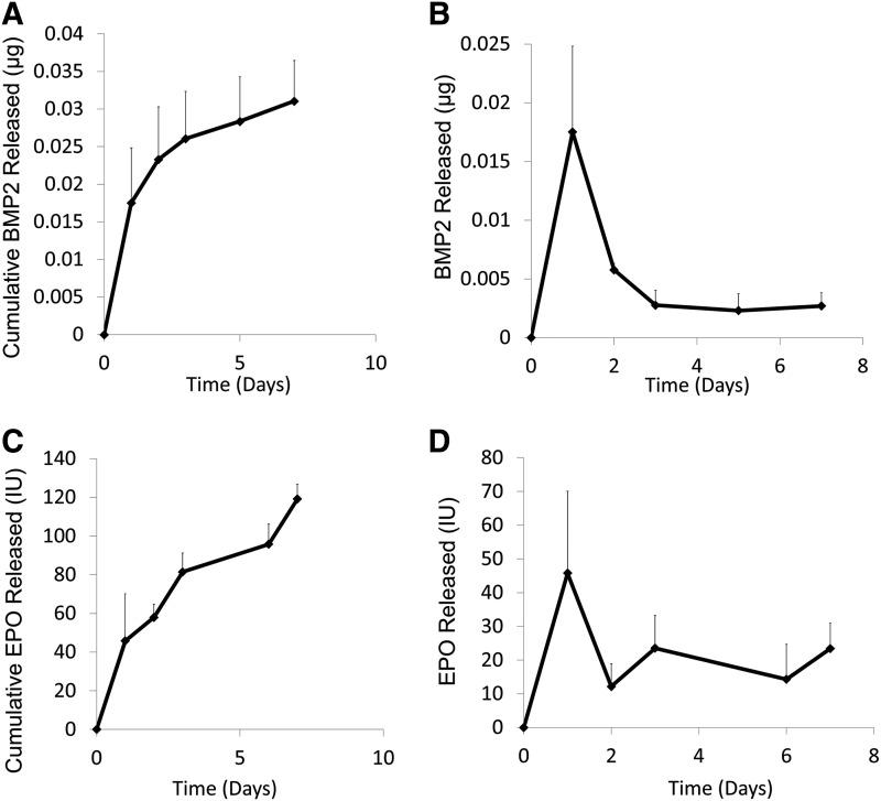 Protein release profiles. (A) BMP2 cumulative release profile. After 7 days, 0.0311±0.0053 μg BMP2 was released into phosphate-buffered saline at 37°C. (B) BMP2 release. A small burst release occurred in the first 2 days, followed by sustained release. (C) EPO cumulative release profile. After 7 days, 119.2±29.4 IU of the 139.6±28.6 IU that was bound was released. (D) EPO released over 7 days with a small burst release in the first 2 days. (n=3/group).