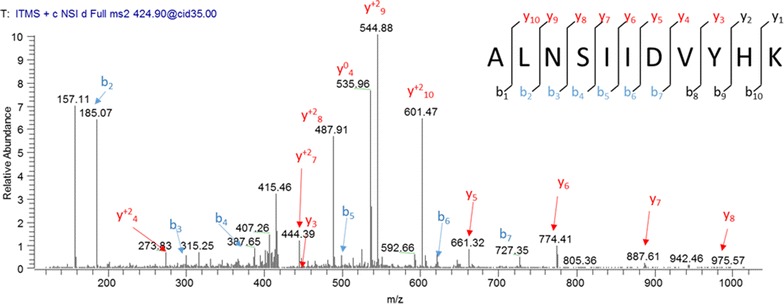 Representative MS/MS scan for S100A8 peptide sequence ALNSIIDVYHK. Raw m/z spectral images with peak assignments and b and y ion lists along with a representation of peptide sequencing by tandem mass spectrometry