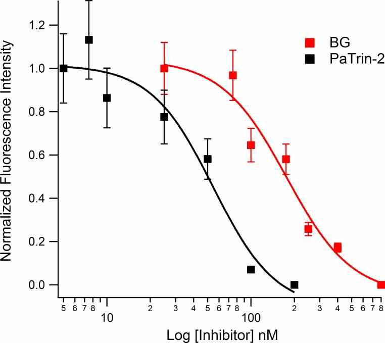 Incubation of purified MGMT enzyme with the inhibitors BG and PaTrin-2 led to a concentration dependent decrease in observed final fluorescence intensity, indicative of MGMT inhibition. MGMT (10 nM) was incubated with inhibitor for 10 min at 37°C in 70 mM HEPES buffer (pH 7.8) containing 5 mM EDTA, 1 mM dithiothreitol and 50 μg/ml BSA. Final fluorescence was acquired 10 min after addition of probe (10 nM). Data were normalized to measurements without inhibitor. Each data point is the average of 3 measurements.